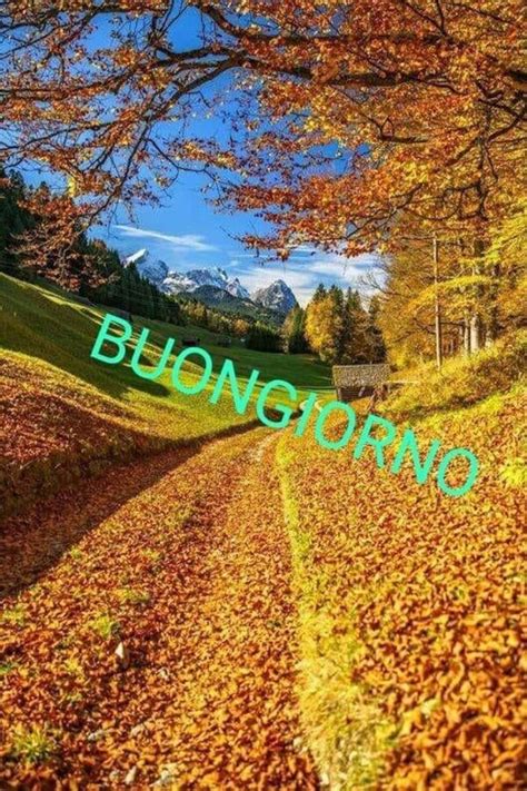 buona giornata autunnale|buon giorno frasi originali.